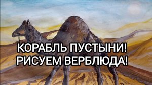 КОРАБЛЬ ПУСТЫНИ! РИСУЕМ ВЕРБЛЮДА!