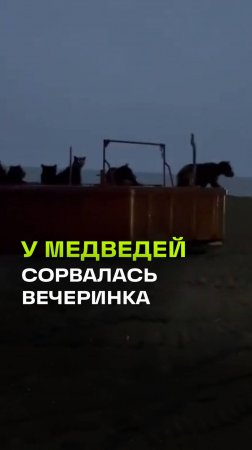 «Больше трех не собираться!»