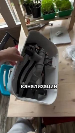 Кототехнологии!
