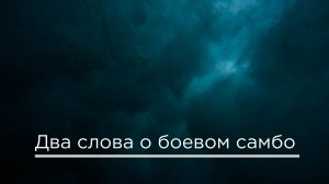 Два слова о боевом самбо