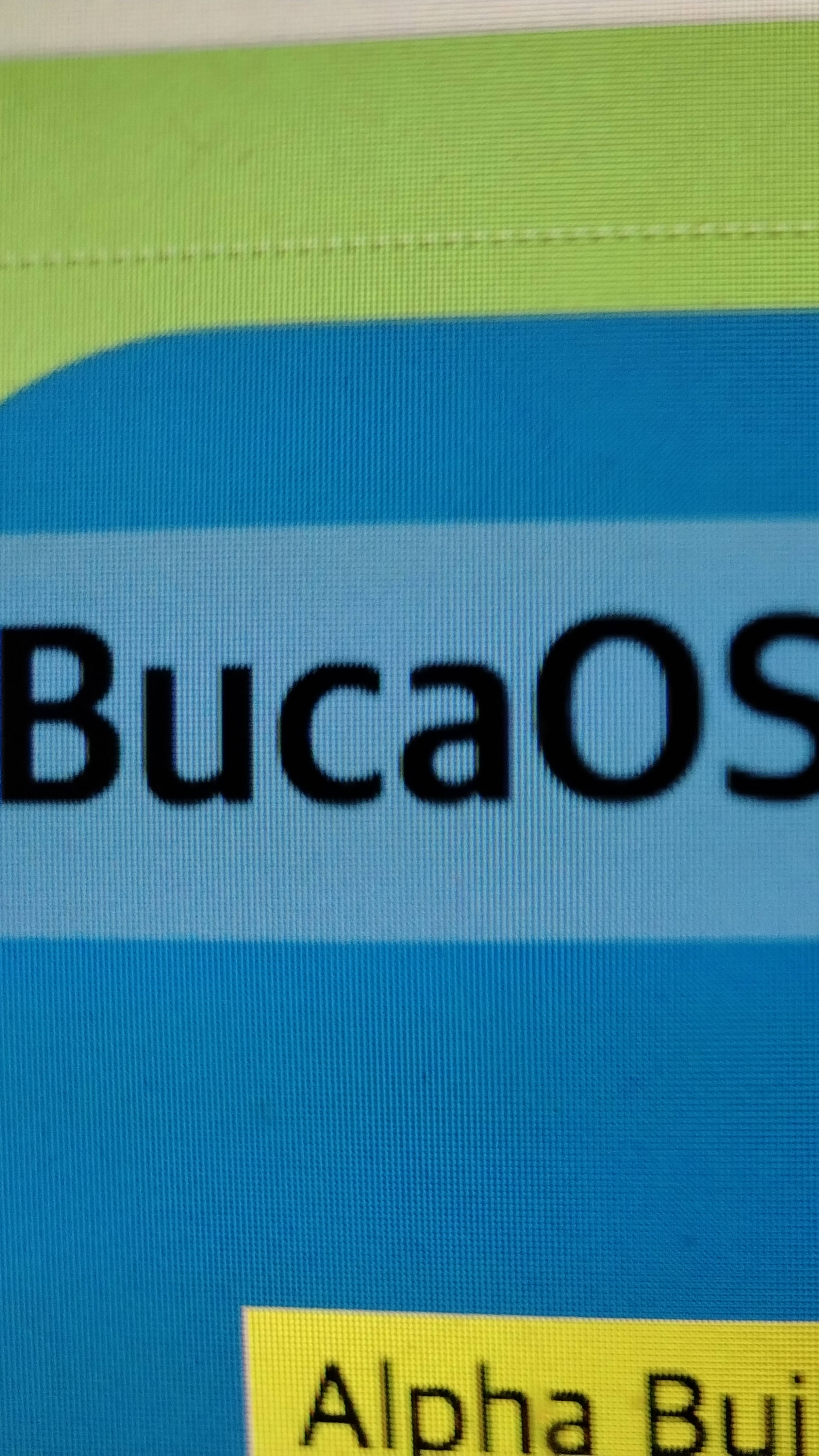 Ладно, это я создатель BucaOS) Кстати уже вышел альфа билд 251!