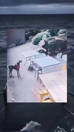 1000066200.mp4