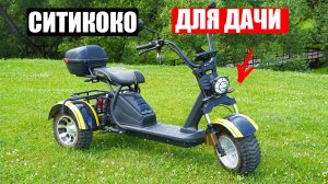 СИТИКОКО ДЛЯ ДАЧИ И ДЛЯ ДУШИ | Siberton PRO TRIKE 3000w