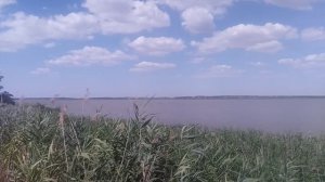VID_20250725_143814