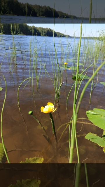 Рыбалка на Вуоксе 🏕️