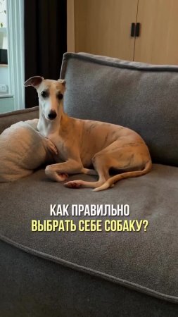 Немного тематического юмора)