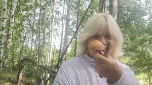 Лес обшарила,грибов не нашарила!🍄🟫