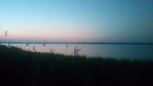 VID_20250722_203540