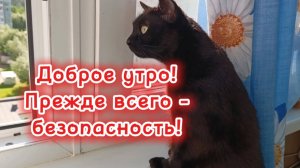 Доброе утро! Хорошего дня!