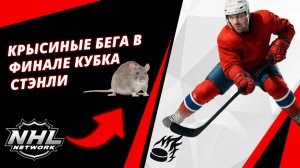 Крысиные бега В Финале Кубка Стэнли | A Rat Race In The Stanley Cup Final
