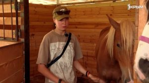 Клуб Шико. Выпуск от 26.07.25