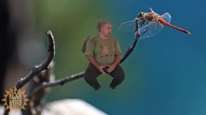 Уровень на котором отсутствует карма