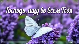 Господь, ищу во всём Тебя ❤️ христианская песня