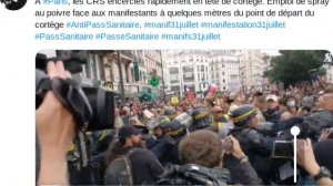 8.1À Paris, les CRS encerclés rapidement en tête de cortège. Emploi de spray au poivre face aux mani