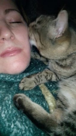 Любовь Кота