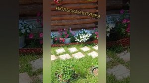 Июльская клумба. Ура!!! Что-то получилось😊😊😊