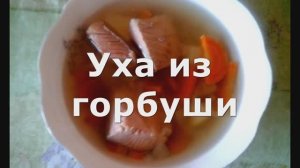 Вкусная и быстрая СУПЕР уха из горбуши в домашних условиях.