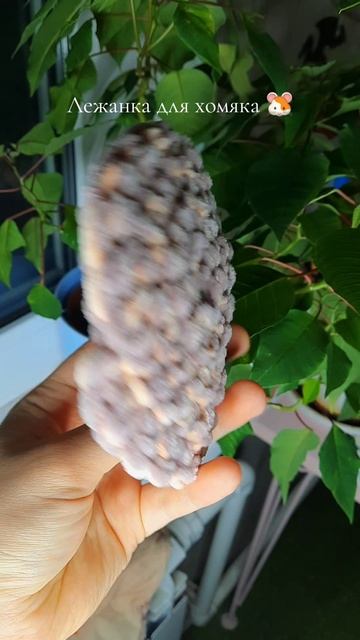 доступна на Магнит Маркете 🐹 #лежанка #ручнаяработа #магнитмаркет смотреть онлайн