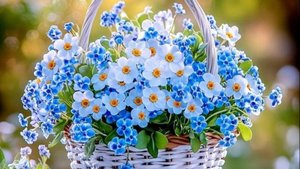 Прекрасные ДЕВЫ. 🎀✨ 🌺 Ваш таро-прогноз на август 2025 год. ✨✨✨
