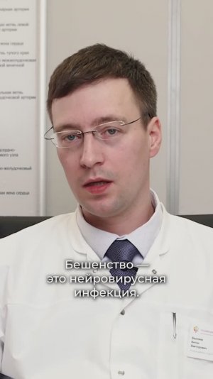 Что такое бешенство и как избежать заражения?