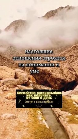 Истинная любовь — умение понимать друг друга сквозь любые испытания.