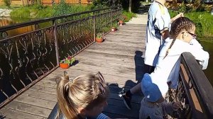 РЕБЯТА СМОТРЯТ УТОЧЕК