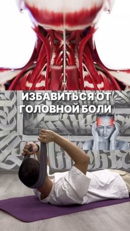 https://t.me/fitstyler_bot?start=vksheya