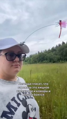 В интернете нашли рабочий способ отпугивать от себя комаров: нужно повесить на себя игрушечную ст...
