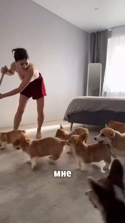 @mix_shorts_