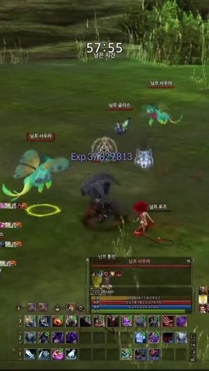Lineage 2 — Обновление Wolf Waker. Трансфер и Мерж? Новый Класс и Новые Сервера!
