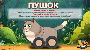 КОТОМОБИЛИ - пушок