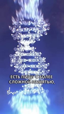 Пища — это информация. Что ты загружаешь?