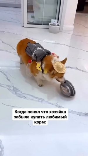 @mix_shorts_