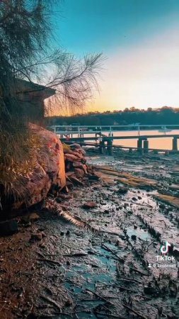 River Side. The Secret Point in #Sydney at the #Sunset 🎵   #australia🇦🇺 Music 🎵 @volanicky