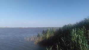 VID_20250725_173102