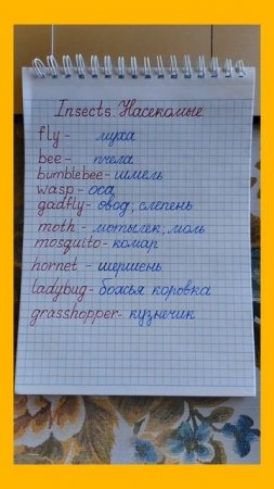 Насекомые по-английски... Insects