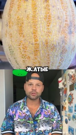 Как правильно выбрать дыню 🍈
