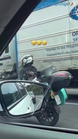 Мужики помчались на байкерский слёт🏍️😎