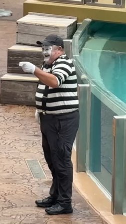 Hilarious 😂 Tom the mime SeaWorld #seaworldmime #funny #comedy #viral #viralvideo #viralshorts