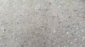 прятки с МИРОСЛАВОМ!!! Мирослав, котик, Артёма нет, он телефон разбил.