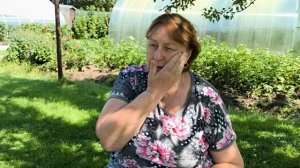 Подготовка клубники к зиме. Что нужно сделать после плодоношения.
