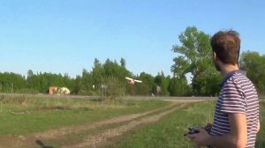 Весенние полетушки