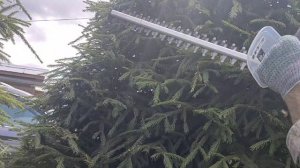 Кусторез
