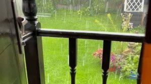 Небольшая дачная зарисовка 🌧🌧🌧🌺🌺🌺🍓🍓🍓