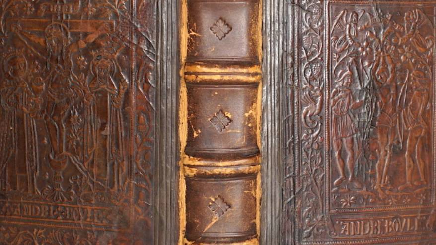 ШОРНИК смотреть онлайн