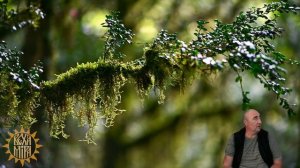 Божественное преобразование. Разговор после практики