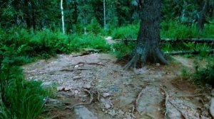 8 дней в горах. Покорение горы Большой Иремель.