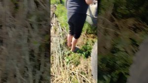 Нашли заброшенный ЗИЛ