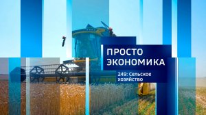 Просто экономика N249
