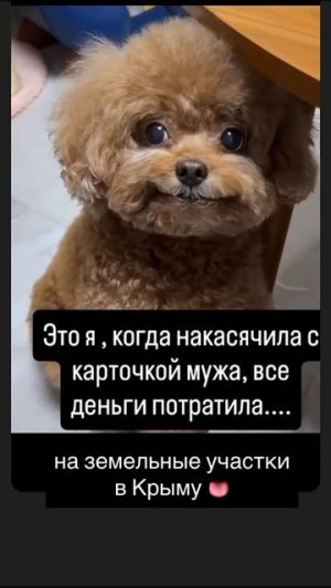 это залет